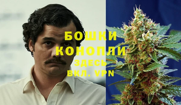 гидра Липки