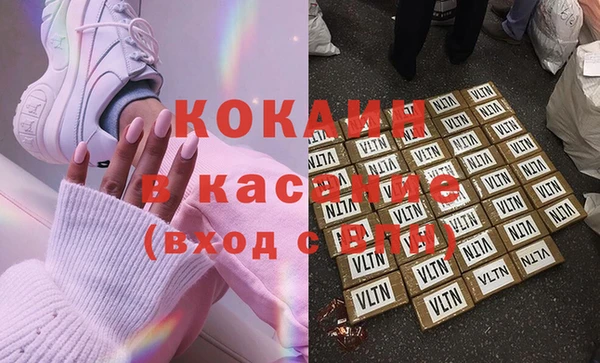 гидра Липки