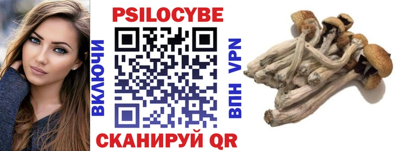 Псилоцибиновые грибы MAGIC MUSHROOMS  Холм 